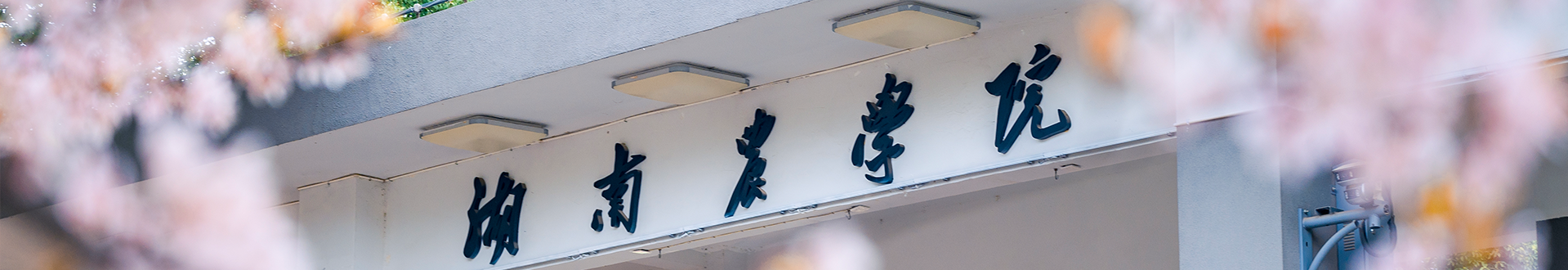 bv伟德国际体育官方网站