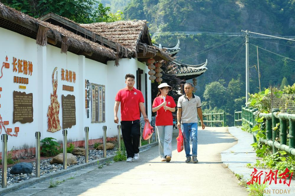 bv伟德国际体育官方网站