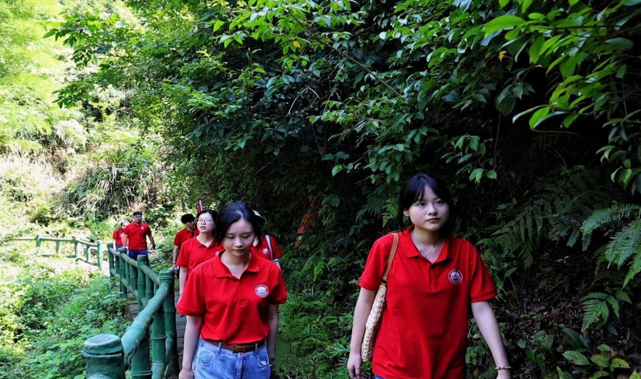 bv伟德国际体育官方网站