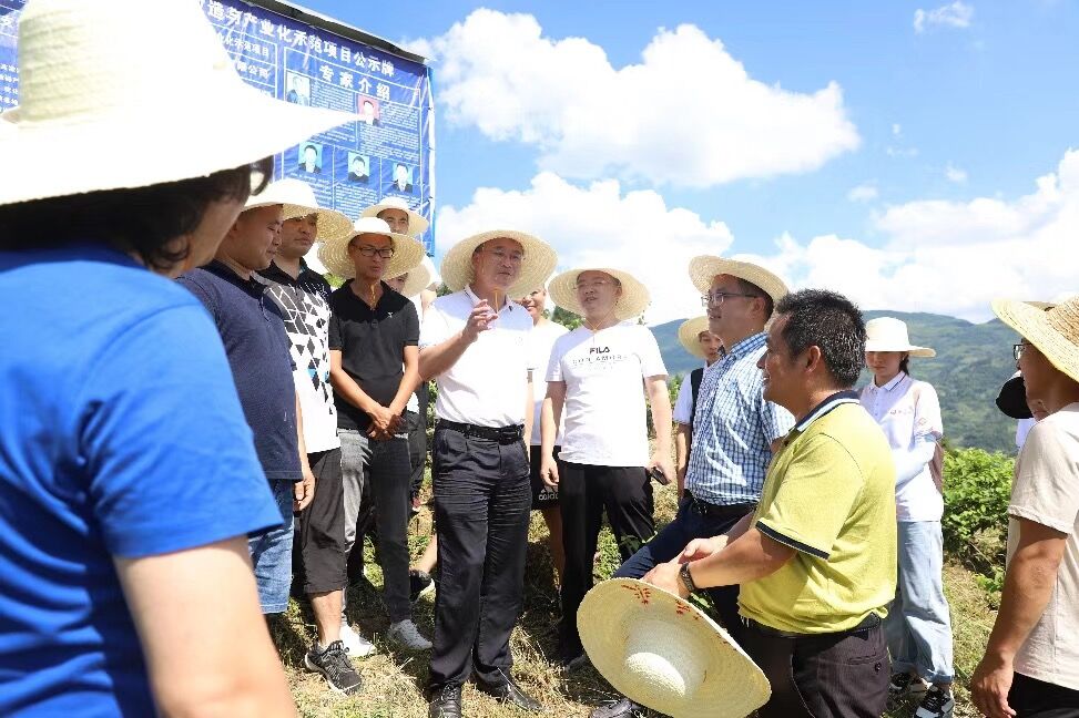 bv伟德国际体育官方网站