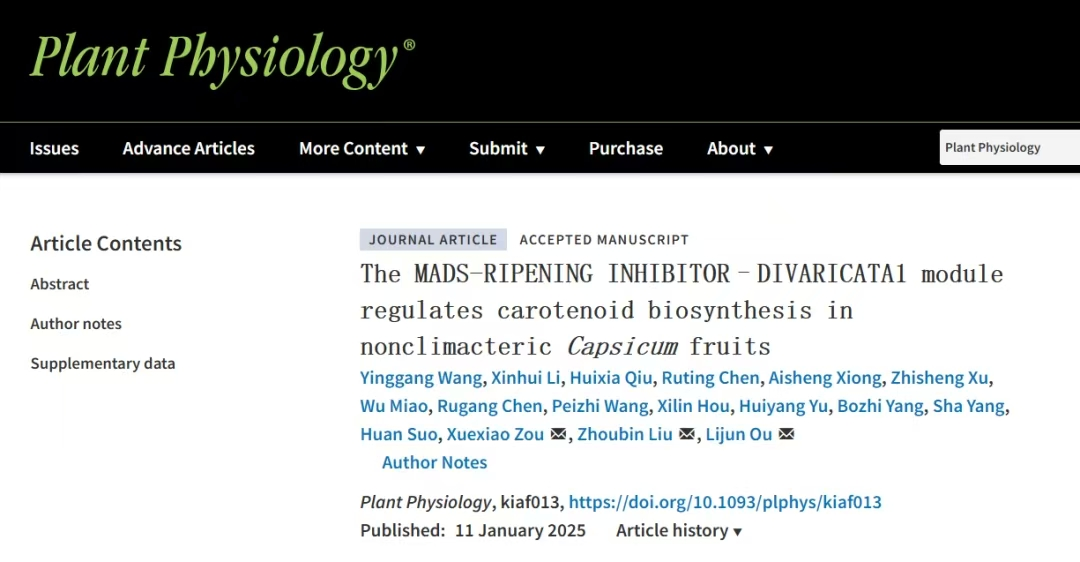 bv伟德国际体育官方网站
