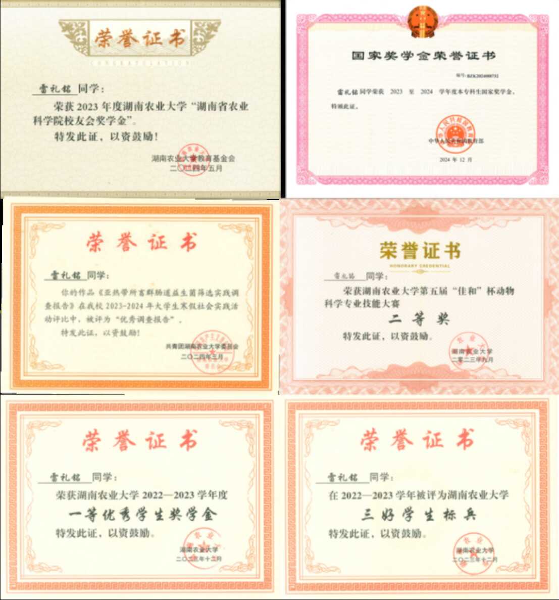 bv伟德国际体育官方网站