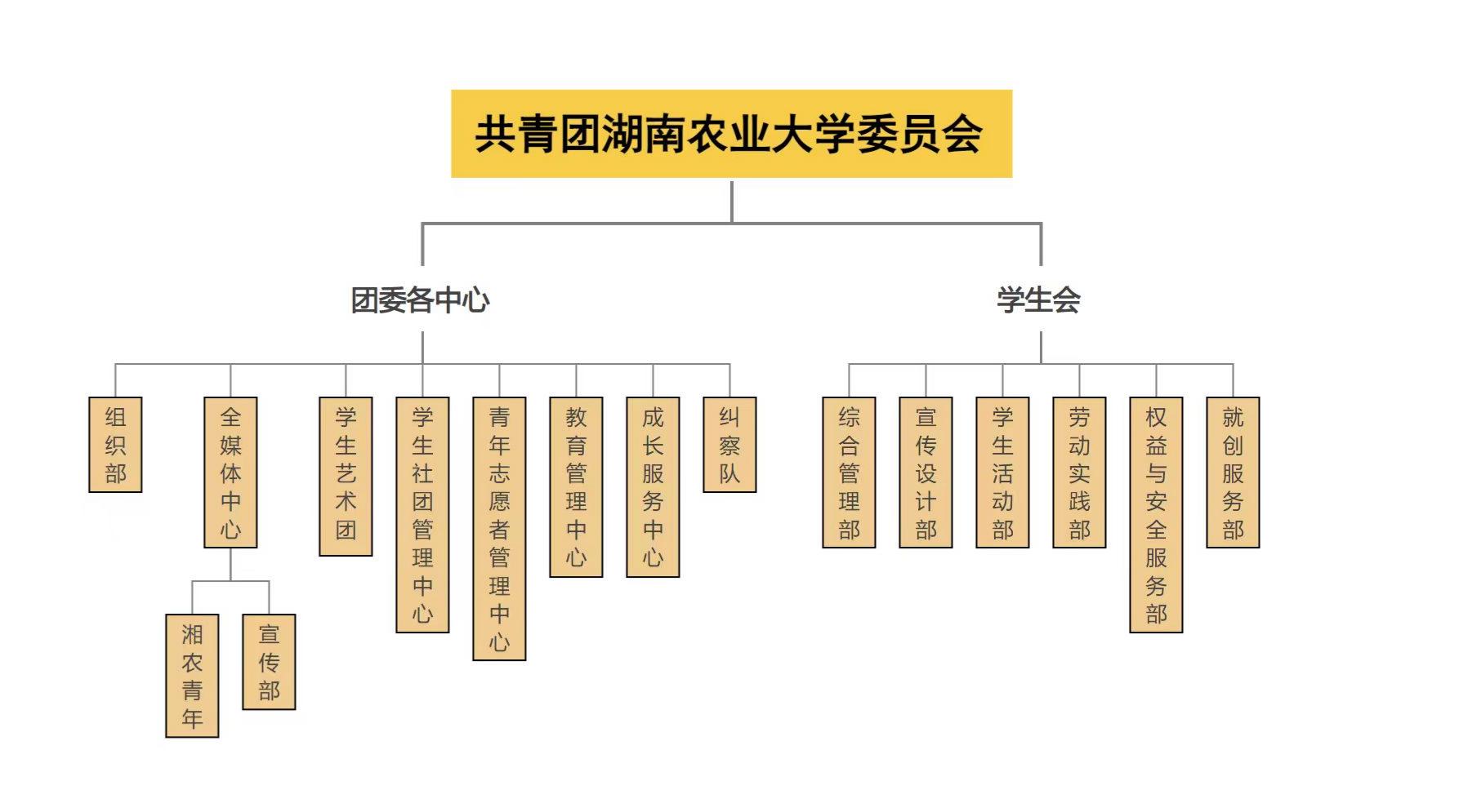 bv伟德国际体育官方网站