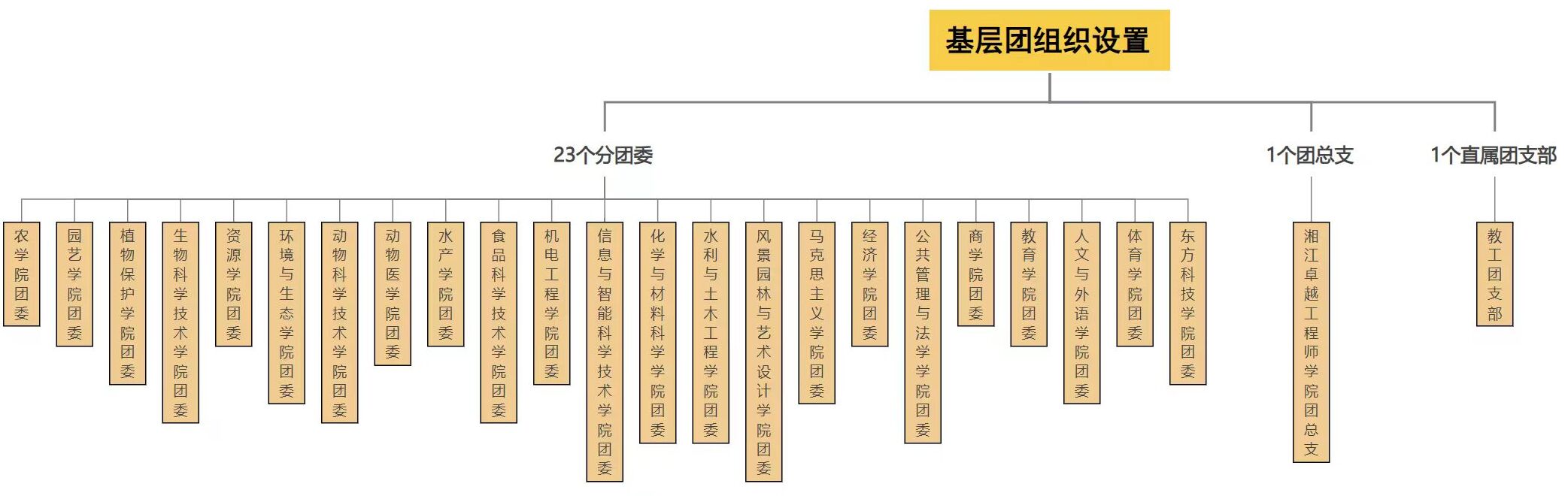 bv伟德国际体育官方网站