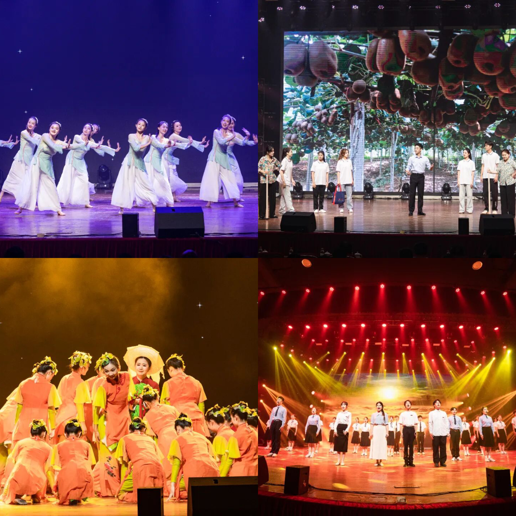 bv伟德国际体育官方网站