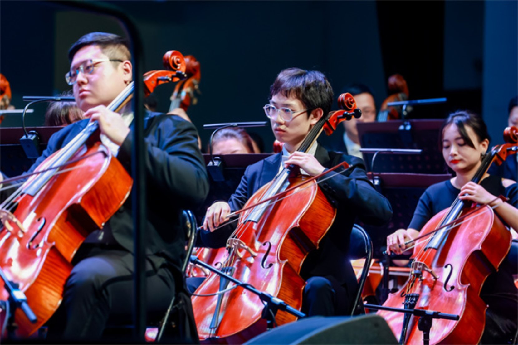 bv伟德国际体育官方网站