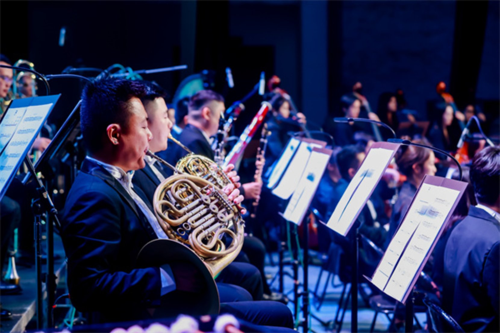 bv伟德国际体育官方网站