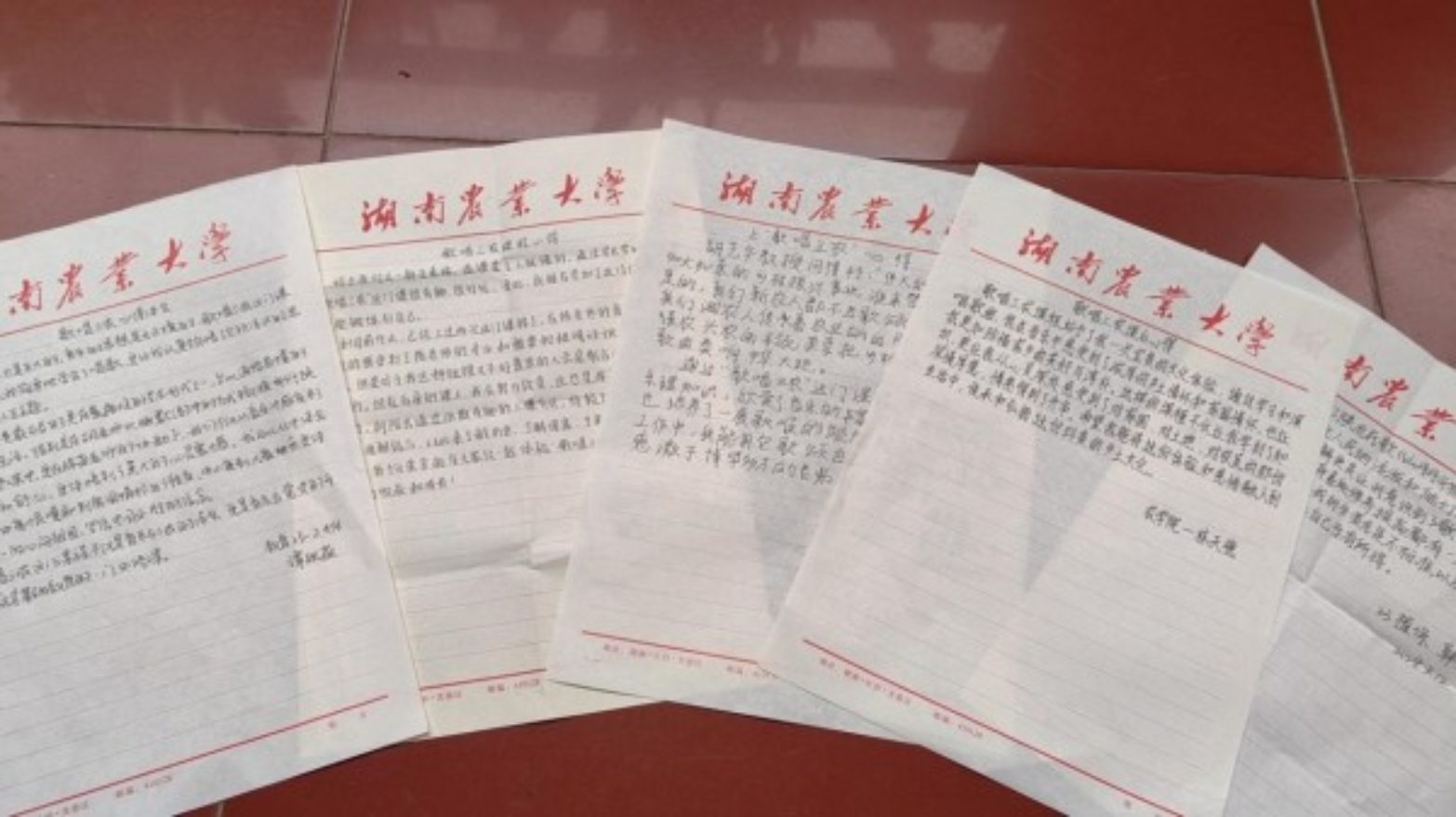 bv伟德国际体育官方网站