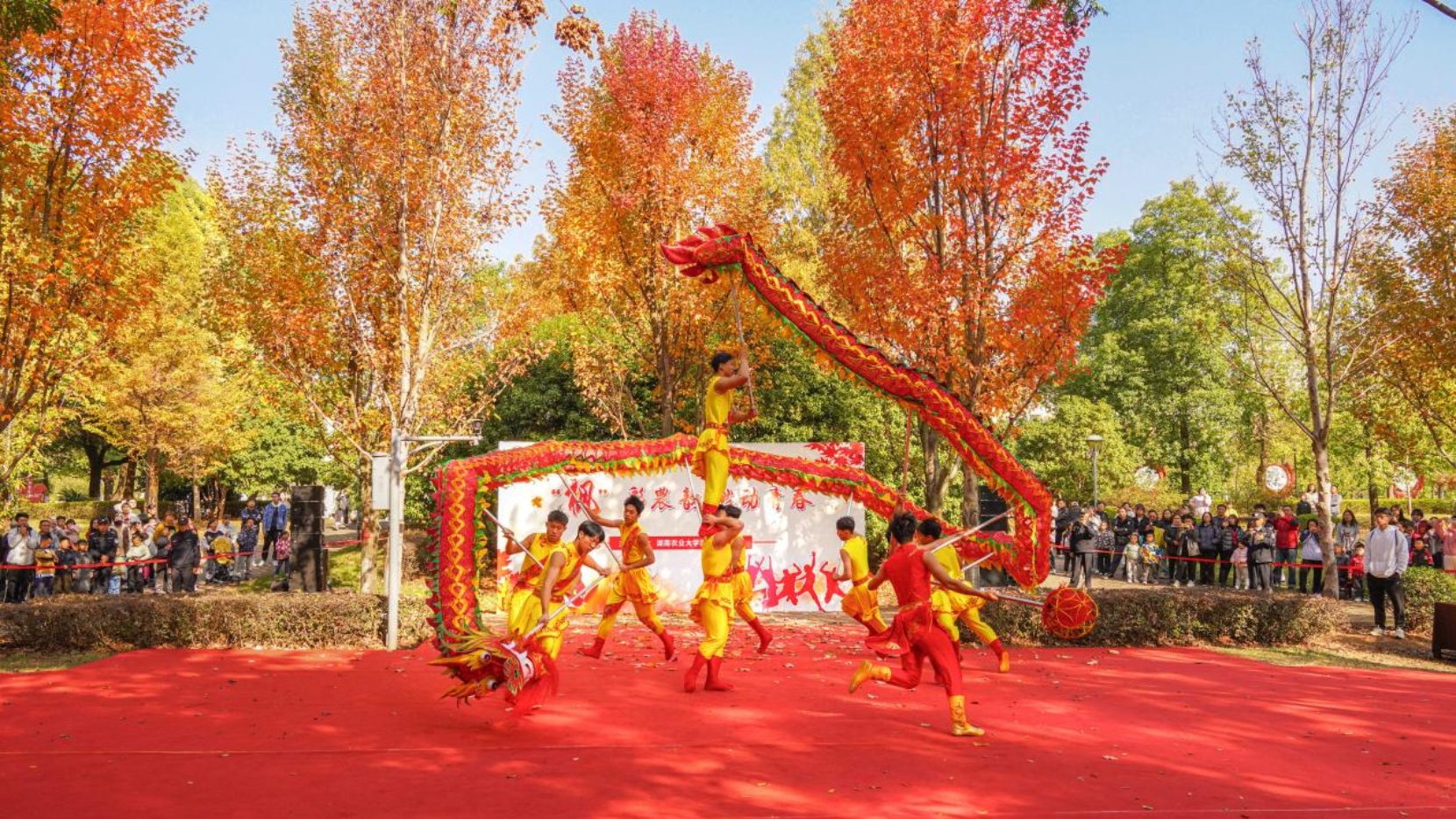 bv伟德国际体育官方网站