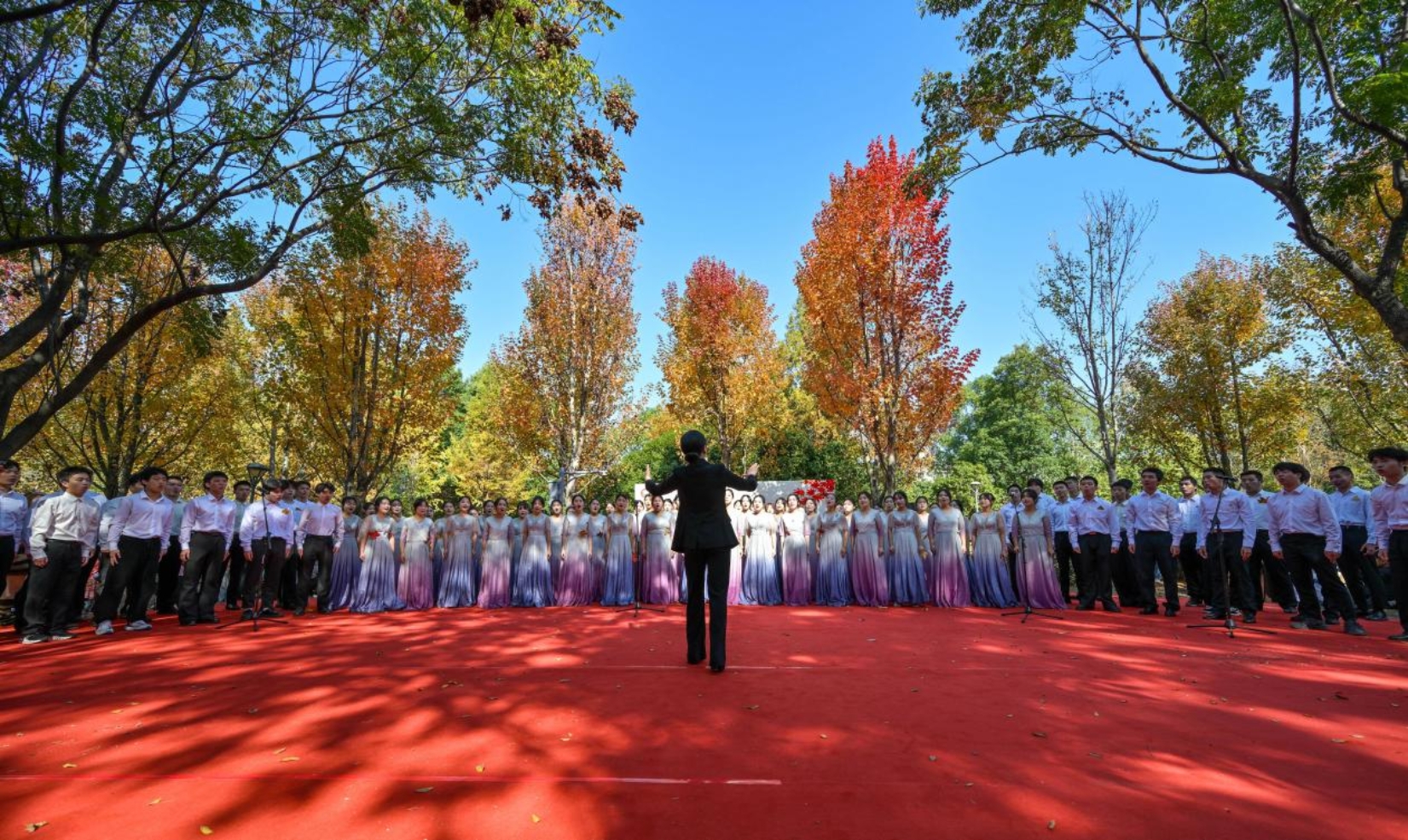 bv伟德国际体育官方网站