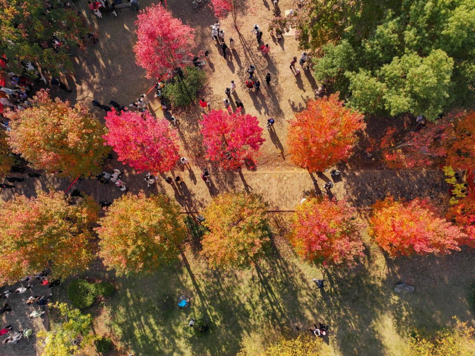 bv伟德国际体育官方网站