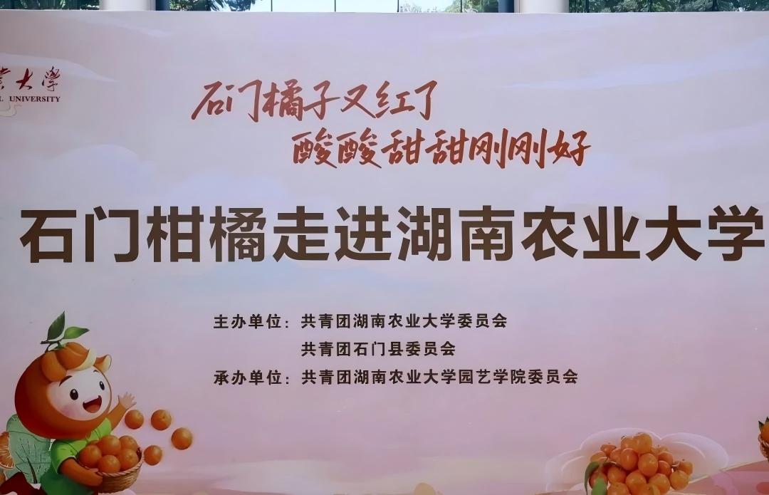 bv伟德国际体育官方网站