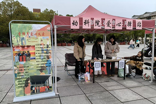 bv伟德国际体育官方网站