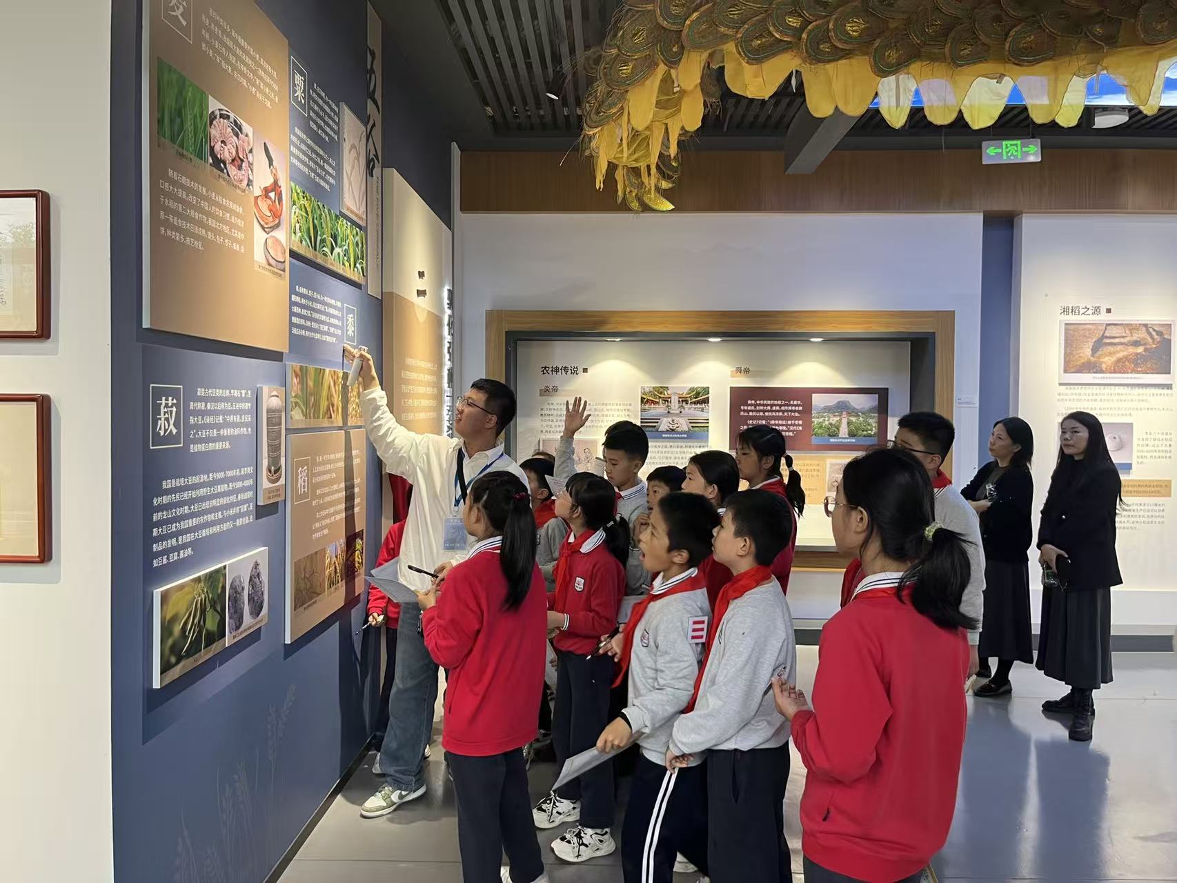 bv伟德国际体育官方网站