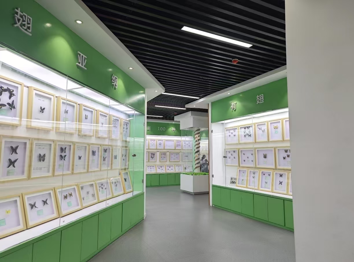 bv伟德国际体育官方网站